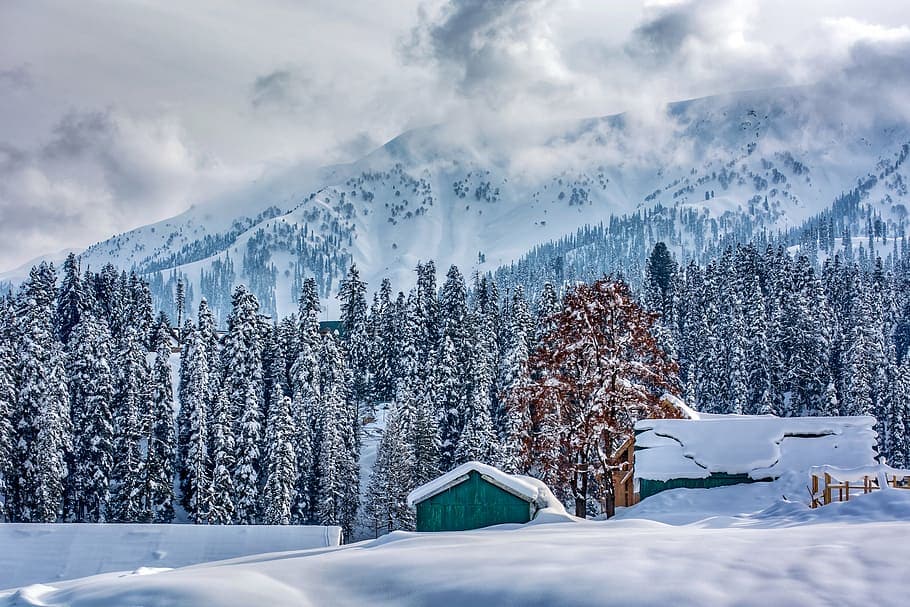 Jammu Kashmir